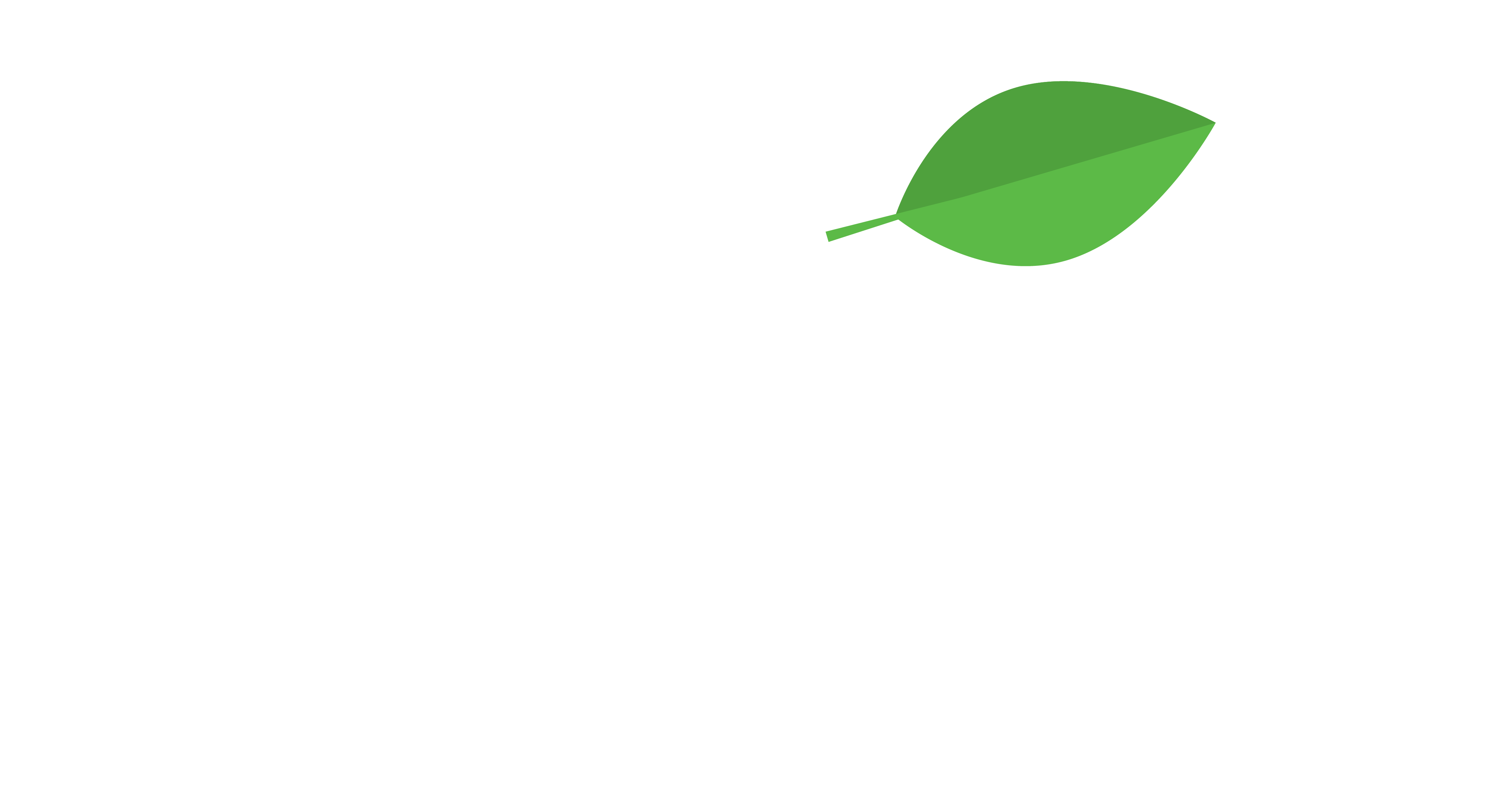 Prosfera Consultoria ESG